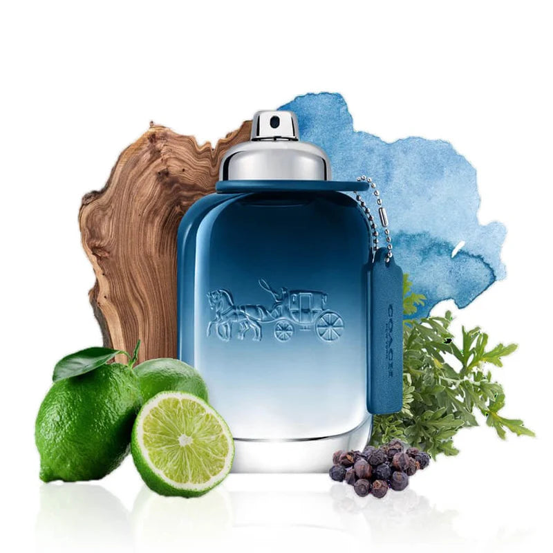 Coach Blue Coach Man EDT 100 ML TESTER